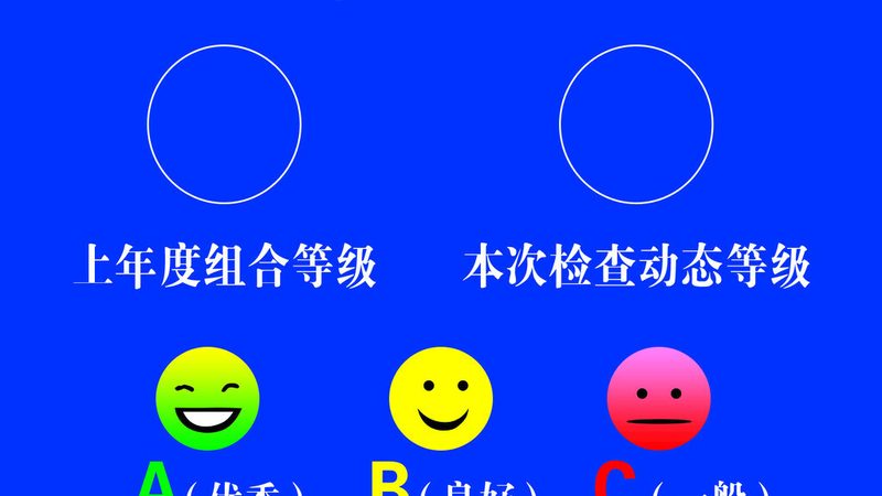 出口级蜜饯果干食品添加剂规定：揭秘背后的标准与要求
